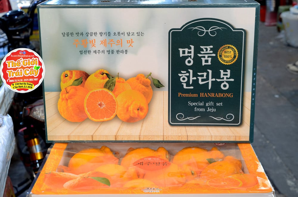 Quýt Jeju